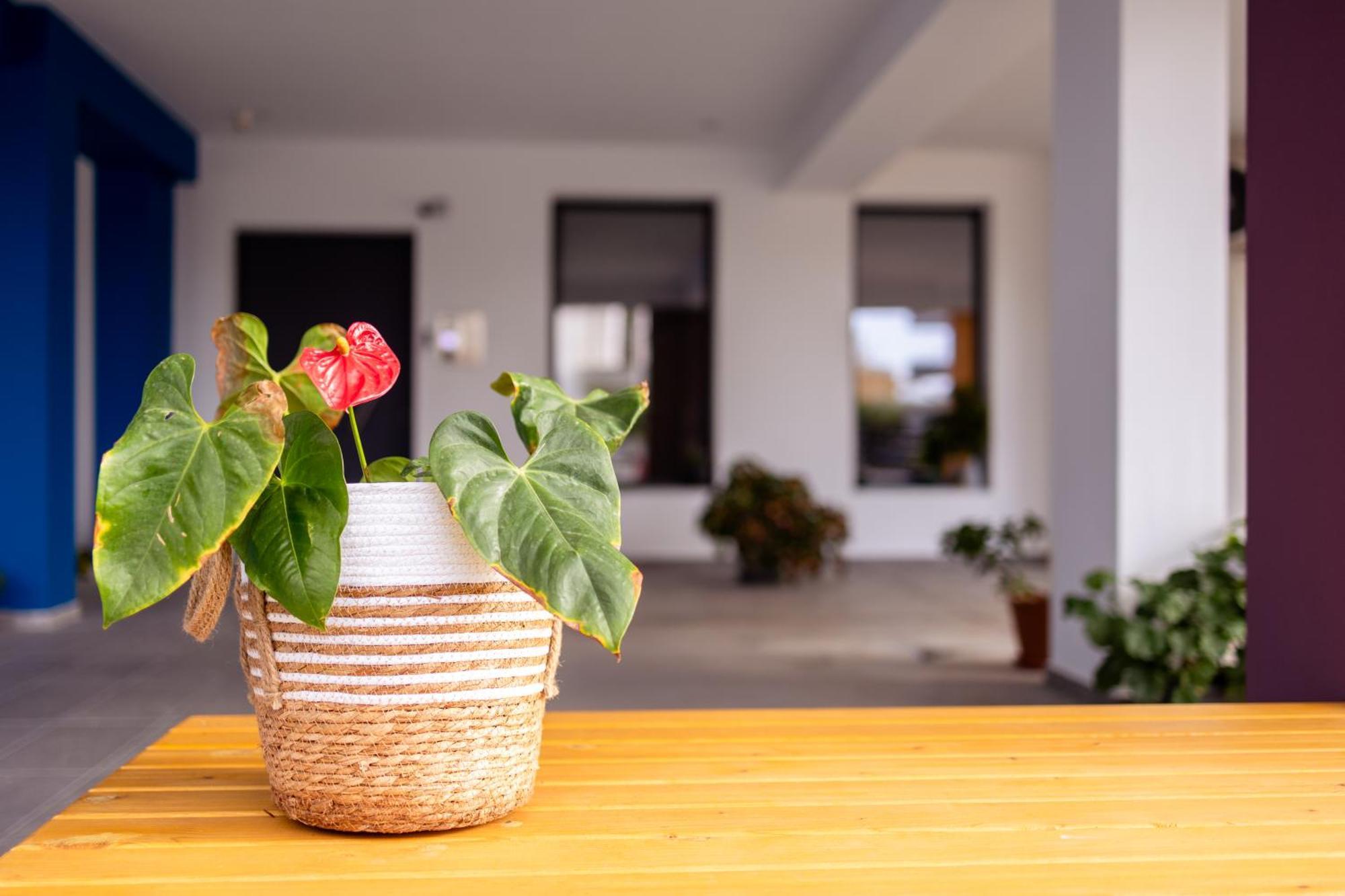 Apartment Pagani Blue - Luxury Maisonette B4 Kalamata